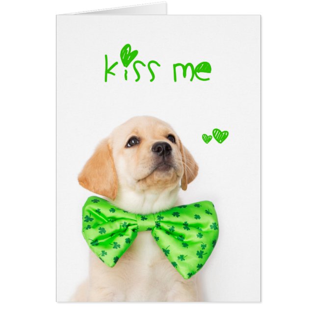 Kiss Me Yellow Labrador Puppy (Devant)