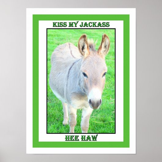 KISS MIJN JACKASS, HEE HAW POSTER (Voorkant)