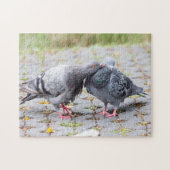 Kissende duiven legpuzzel (Horizontaal)