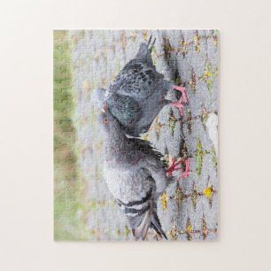 Kissende duiven legpuzzel