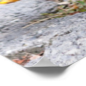 Kissende duiven poster (Hoek)