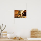 Kissende paarden poster (Keuken)