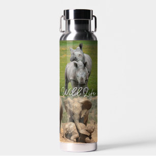 Kissende vogels die dieren bedekken Baby Hippo Ele Waterfles