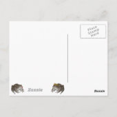 Kissenkikker Briefkaart (Achterkant)