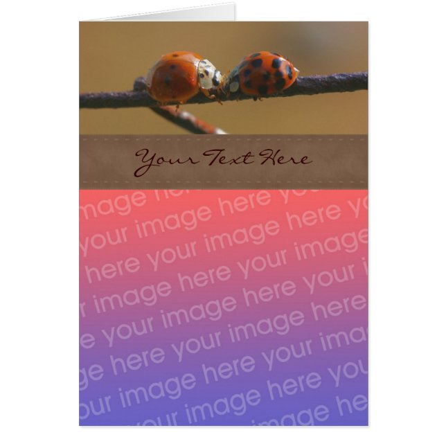 Kisser Ladybugs Nature Votre Carte photo (Devant)