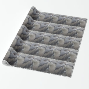 Kisser River Otters Cadeaupapier