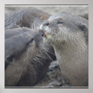 Kisser River Otters Poster