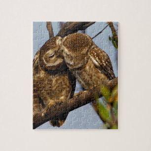 Kissers Owls Legpuzzel