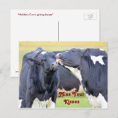 Kisses Cute vaches Carte postale (Devant / Derrière)