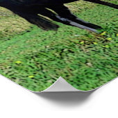 Kisses Poster (Hoek)