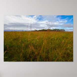 Kissimmee Prairie Preserve State Park, Florida Poster