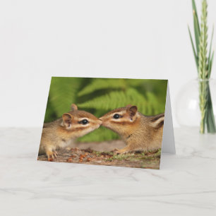 Kissing Baby Chipmunks Kaart