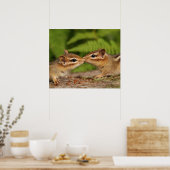 Kissing Baby Chipmunks Poster (Keuken)