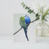 Kissing Budgies Briefkaart (Staand voorkant)