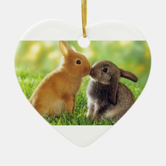 Kissing Bunnies Keramisch Ornament (Voorkant)