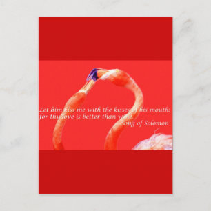 Kissing Flamingos Briefkaart