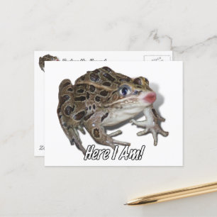 Kissing Frog - Pucker Up, schat! Briefkaart