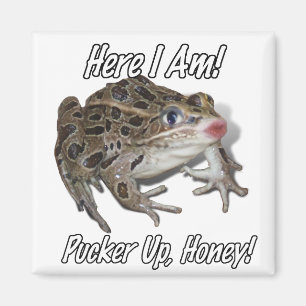 Kissing Frog - Pucker Up, schat! Magneet