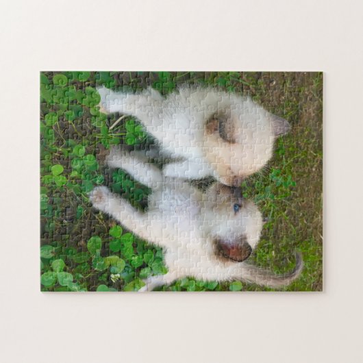 kissing kittens legpuzzel (Horizontaal)