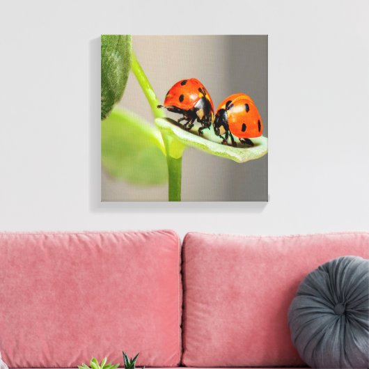 Kissing Ladybugs Canvas Afdruk (Insitu (Woonkamer))