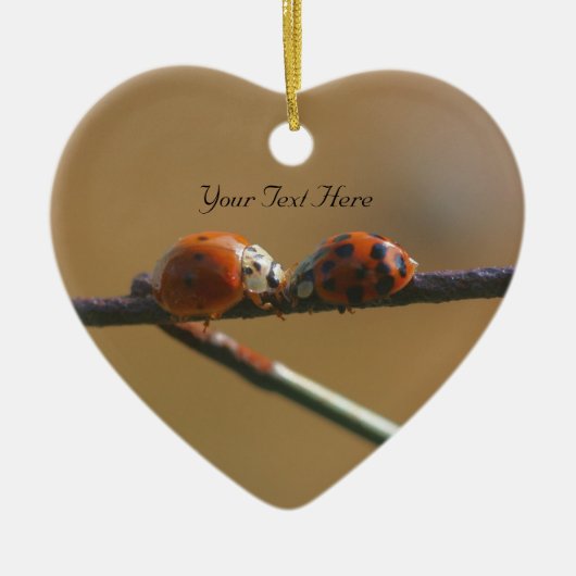 Kissing Ladybugs Cute Natuur Ornament (Voorkant)