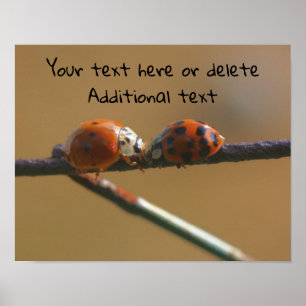 Kissing Ladybugs gepersonaliseerd Poster