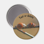 Kissing Ladybugs Nature Personalized Magneet (Voorkant / Achterkant)