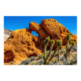 Kissing Turtle Rock Foto Afdruk