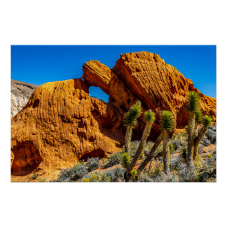 Kissing Turtle Rock Glossy Perfect Poster