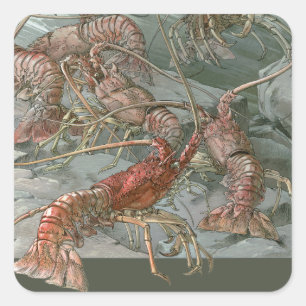 Kist met kreeften in de oceaan, vintage art nouvea vierkante sticker