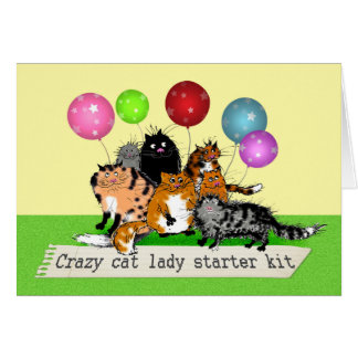 Kit fou de démarreur de dame de chat. chats,