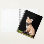 Kit Red Fox 2024 (Devant avec enveloppe)