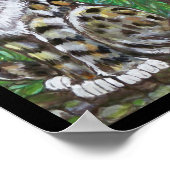 Kit Red Fox et Poster de chat, Art animal original (Coin)