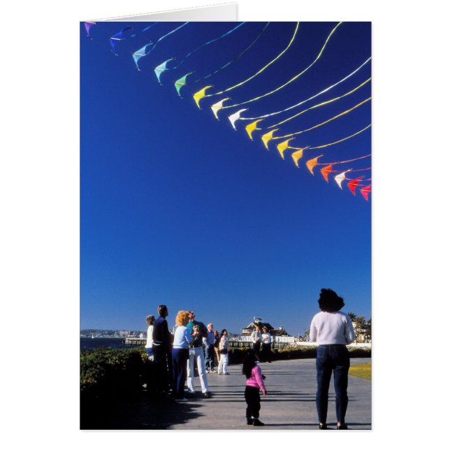 Kite Flying (Devant)