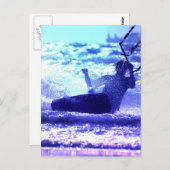 Kite Surfing Briefkaart (Voorkant / Achterkant)