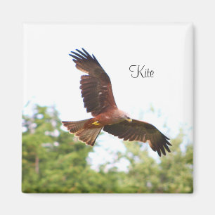 Kite tijdens de vlucht..... magneet