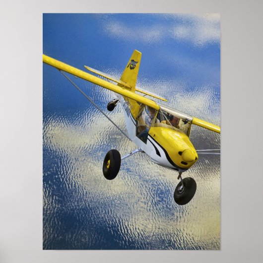 Kitfox boven het meer poster (Voorkant)