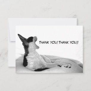 Kitsa Diva: Koningin van haar vrouw Bedankkaart