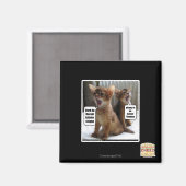 Kitteh carols magneet (Voorkant / Achterkant)