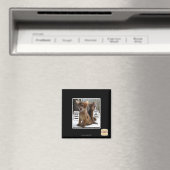 Kitteh carols magneet (Insitu (Vaatwasser))