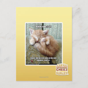 Kitteh regel #231 briefkaart