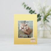 Kitteh regel #231 briefkaart (Staand voorkant)