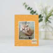 Kitteh regel #231 briefkaart (Staand voorkant)