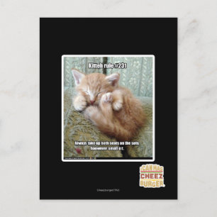 Kitteh regel #231 briefkaart