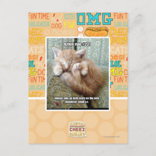 Kitteh regel #231 briefkaart