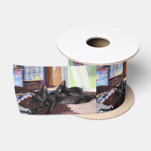 Kittems Lint