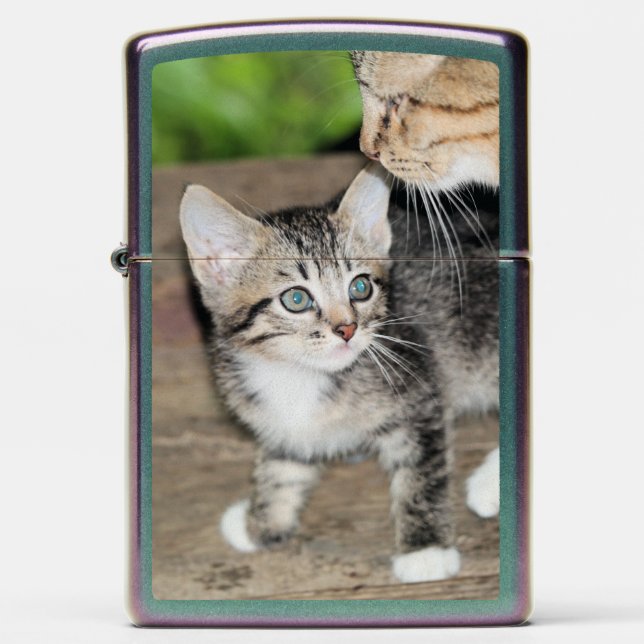 Kitten (Front)