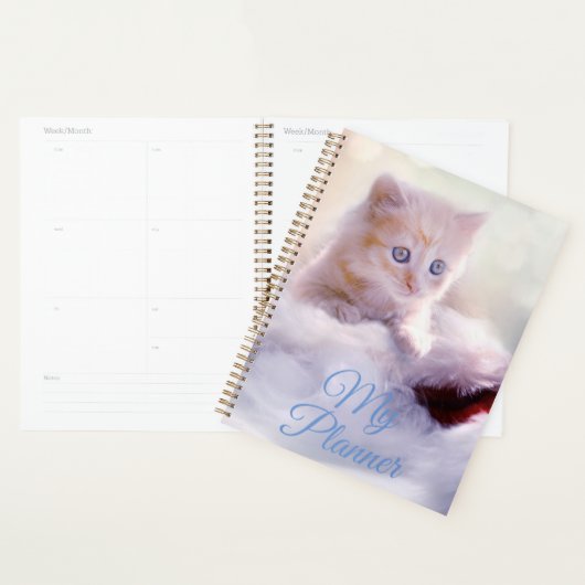 Kitten (Devant avec enveloppe)