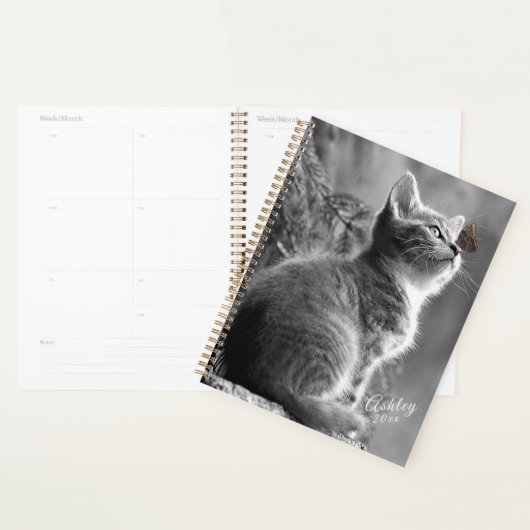 Kitten (Devant avec enveloppe)