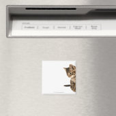 Kitten 2 magneet (Insitu (Vaatwasser))